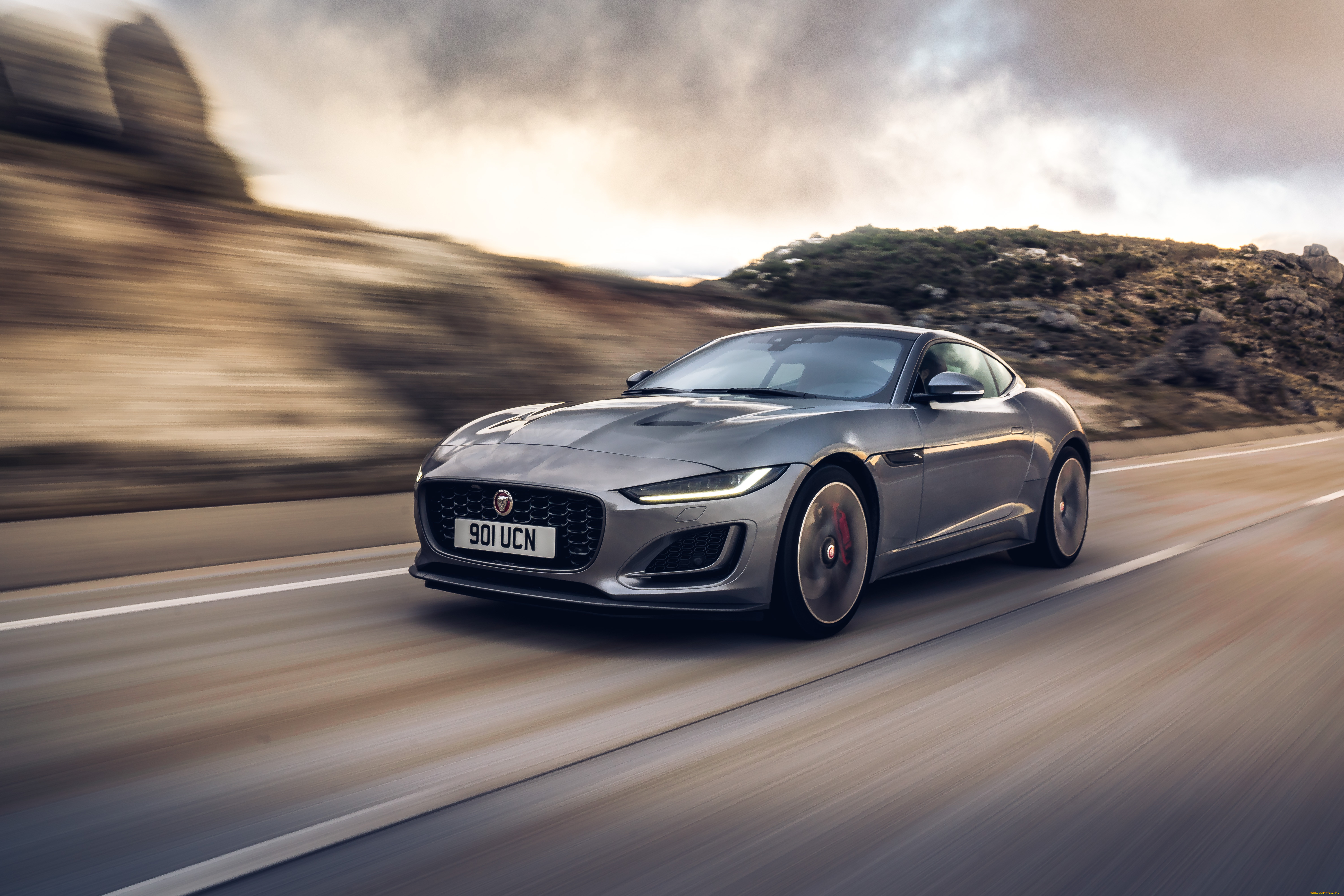 , jaguar